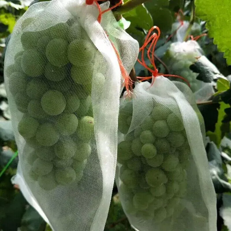 10/50X Fruit & Vegetable Protection Mesh Bags Insect-Proof