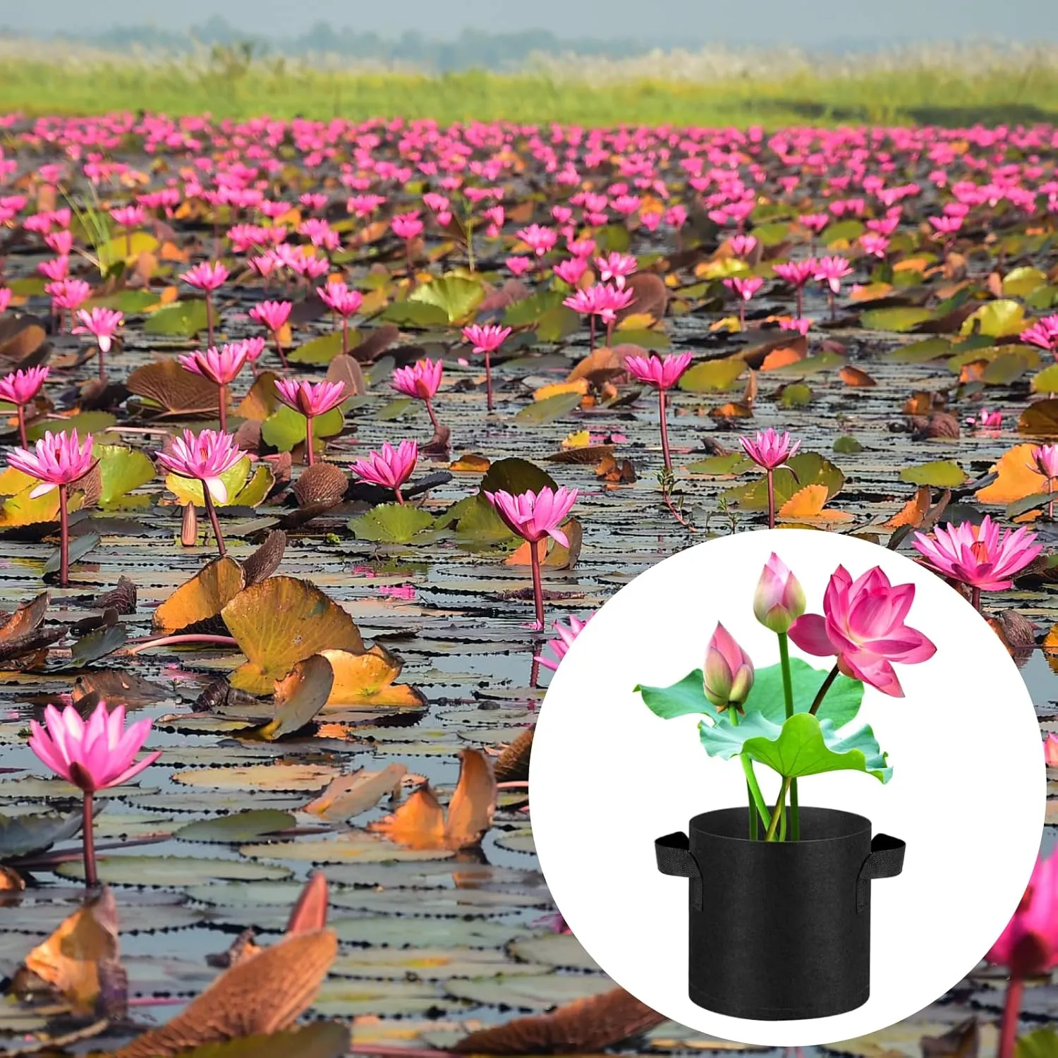 12 Pack Lily Plant Pots for Pond, 1 Gallon Aquatic Pond Planter with Handles Water Garden Reusable Fabric Plant Pots for Aquatic Plants, Flower Fruits Growing (12, 1 Gallon)