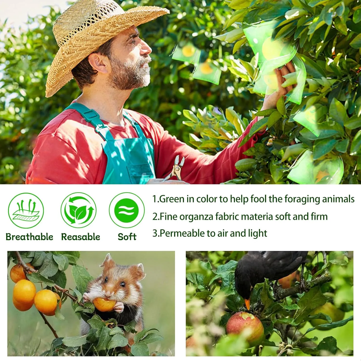 200 Pcs Fruit Protection Bags Fruit Netting Bags with Drawstring Fruit Bags for Fruit Fruit Protect Bags Vegetable Fruit Net Fruit Cover Mesh Bag for Protecting Fruits(Fruit Green,8 x 12 Inch)