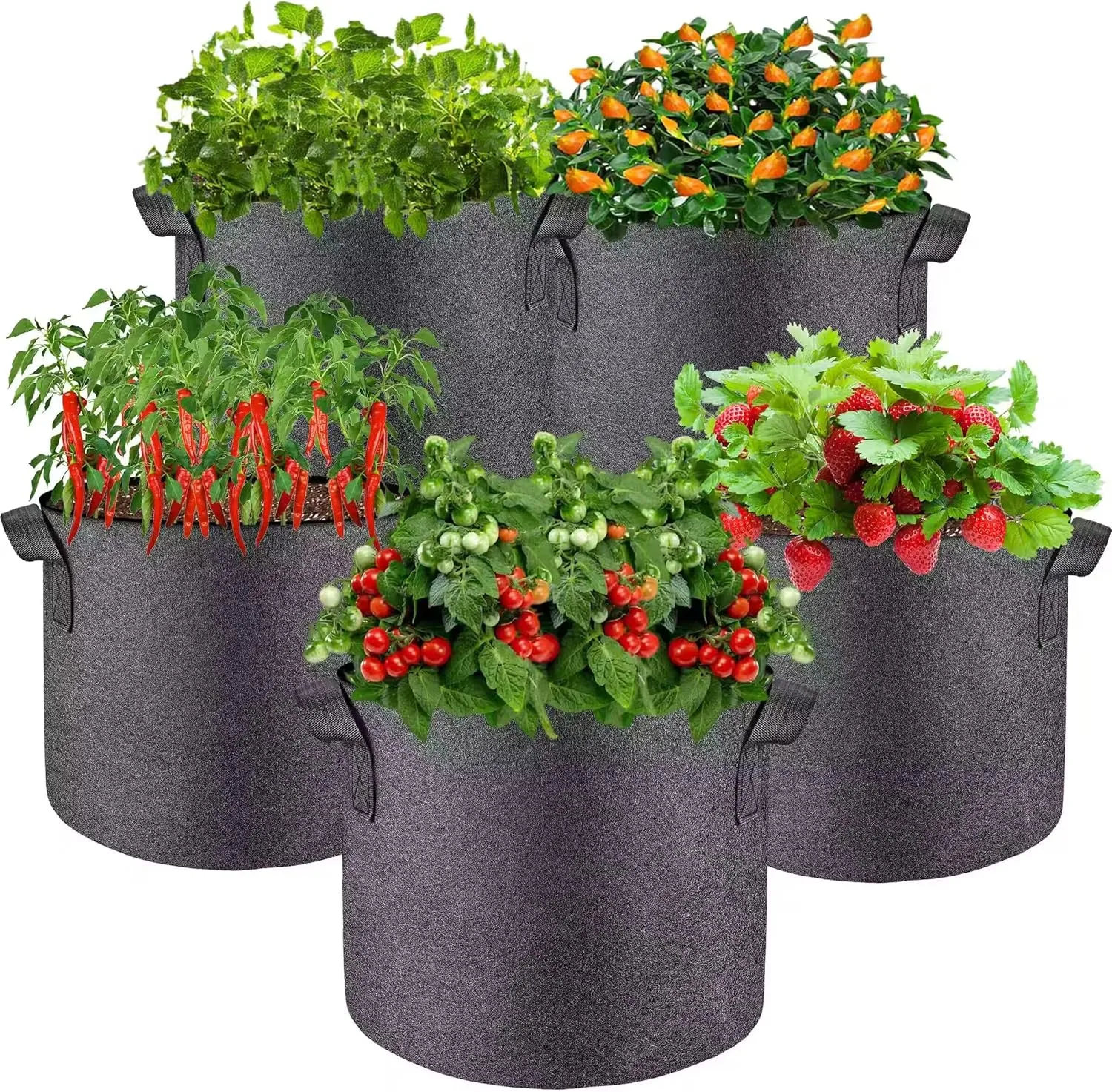 5 Pcs Grow Bags 5 Gallon Plant Grow Bags Multi-Purpose Nonwoven Fabric Pots with Durable Handles,Outdoor Garden Plant Pots for Vegetables Fruits Flowers Herb Succulent Bonsai Plants