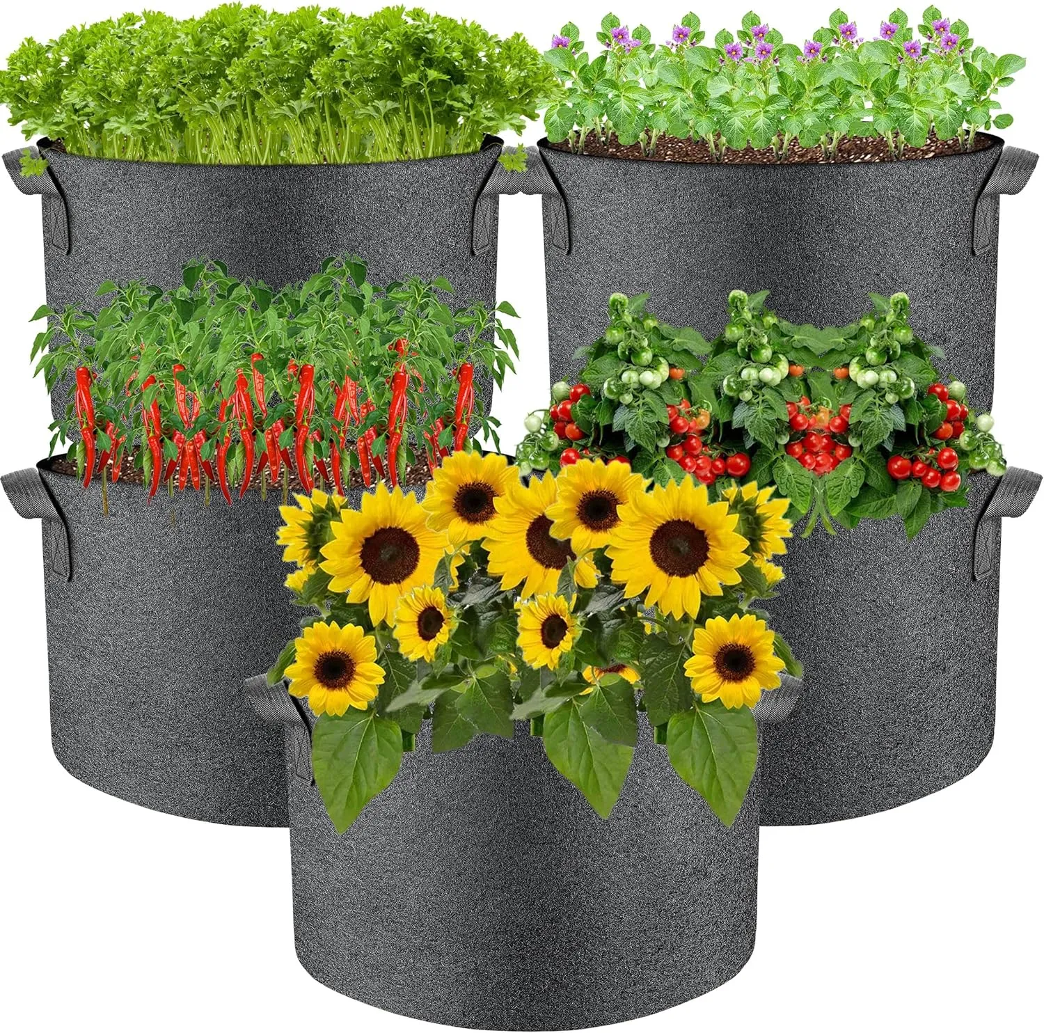 5 Pcs Grow Bags Plant Grow Bags Multi-Purpose Nonwoven Fabric Pots with Durable Handles,Outdoor Garden Plant Pots for Vegetables Fruits Flowers Herb Succulent Bonsai Plants