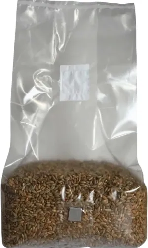 5lb Organic Sterile Mushroom Grain Spawn | Injector Port Grow Bags, Hydrated, Ready to Inoculate (Pack of 1) | Made in USA