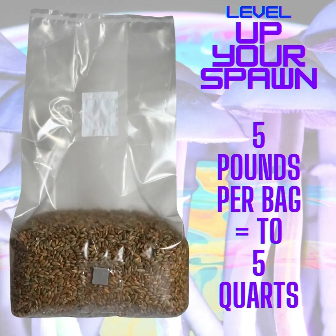 5lb Organic Sterile Mushroom Grain Spawn | Injector Port Grow Bags, Hydrated, Ready to Inoculate (Pack of 1) | Made in USA