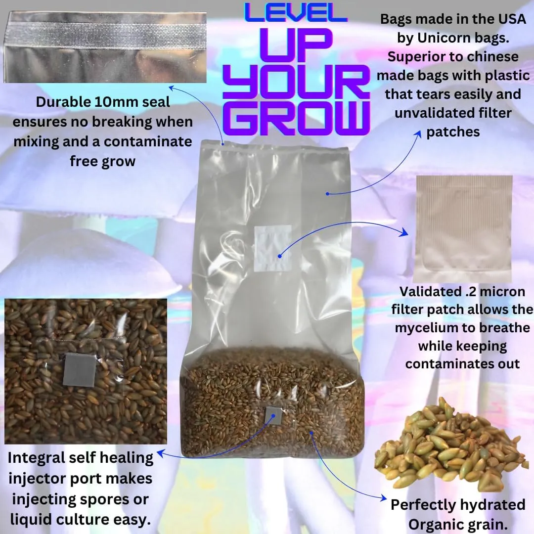 5lb Organic Sterile Mushroom Grain Spawn | Injector Port Grow Bags, Hydrated, Ready to Inoculate (Pack of 2) | Made in USA