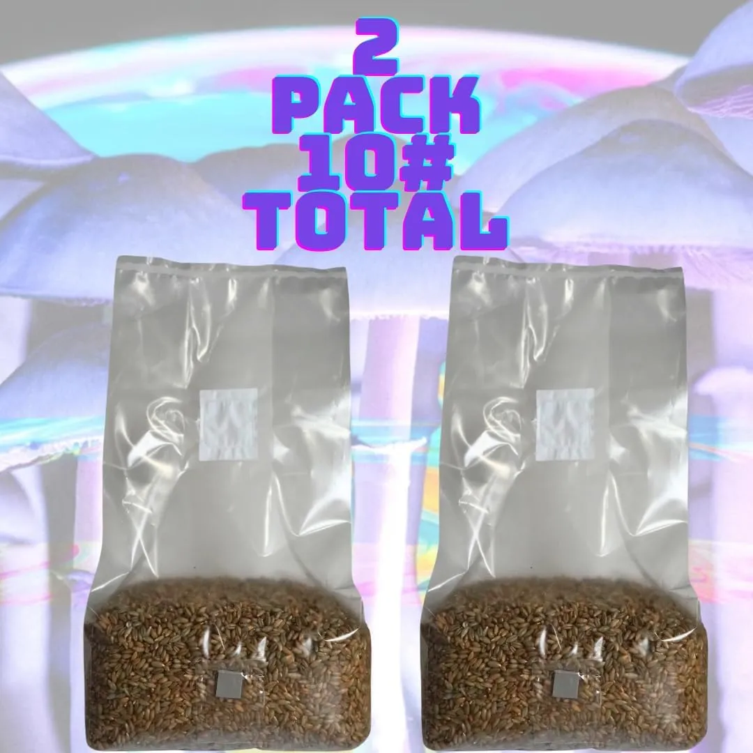 5lb Organic Sterile Mushroom Grain Spawn | Injector Port Grow Bags, Hydrated, Ready to Inoculate (Pack of 2) | Made in USA