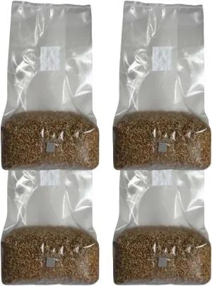 5lb Organic Sterile Mushroom Grain Spawn | Injector Port Grow Bags, Hydrated, Ready to Inoculate (Pack of 4) | Made in USA