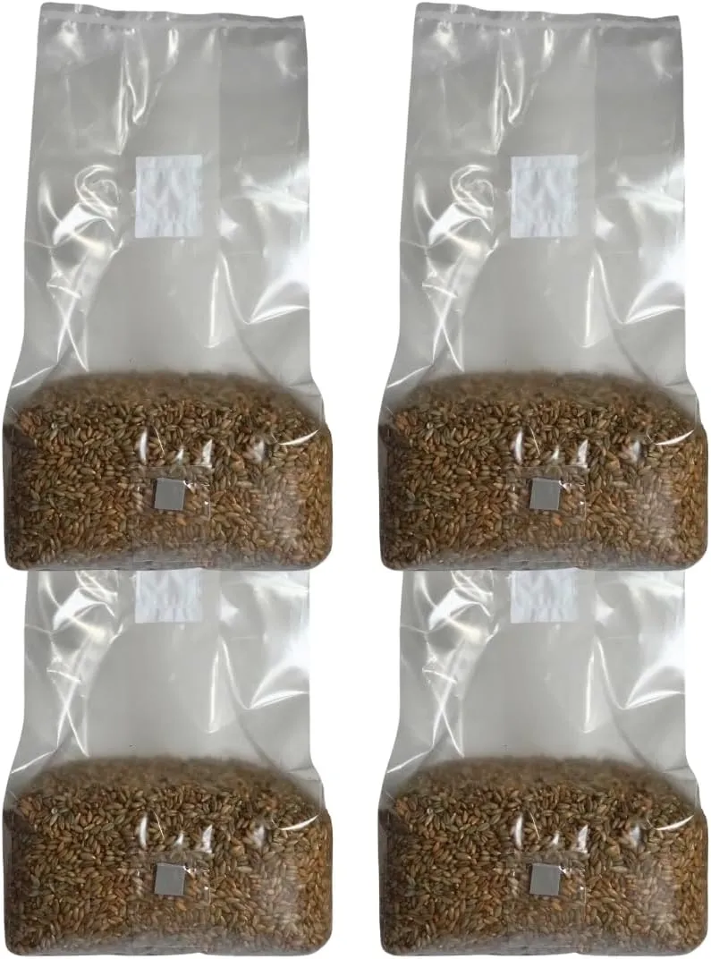 5lb Organic Sterile Mushroom Grain Spawn | Injector Port Grow Bags, Hydrated, Ready to Inoculate (Pack of 4) | Made in USA