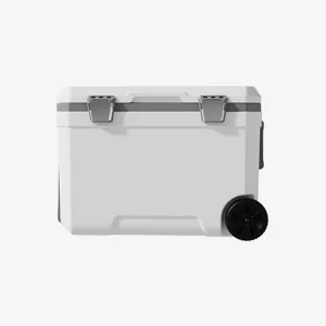 Car Camping Coolers for Kia Ceed/EV3/EV6/EV9/Niro/Optima/Picanto/Rio, Waterproof Portable Cooler, Leak Proof Picnic Insulated Bag, Ultra-Light Premium Ice Chest Box,B-White-45L