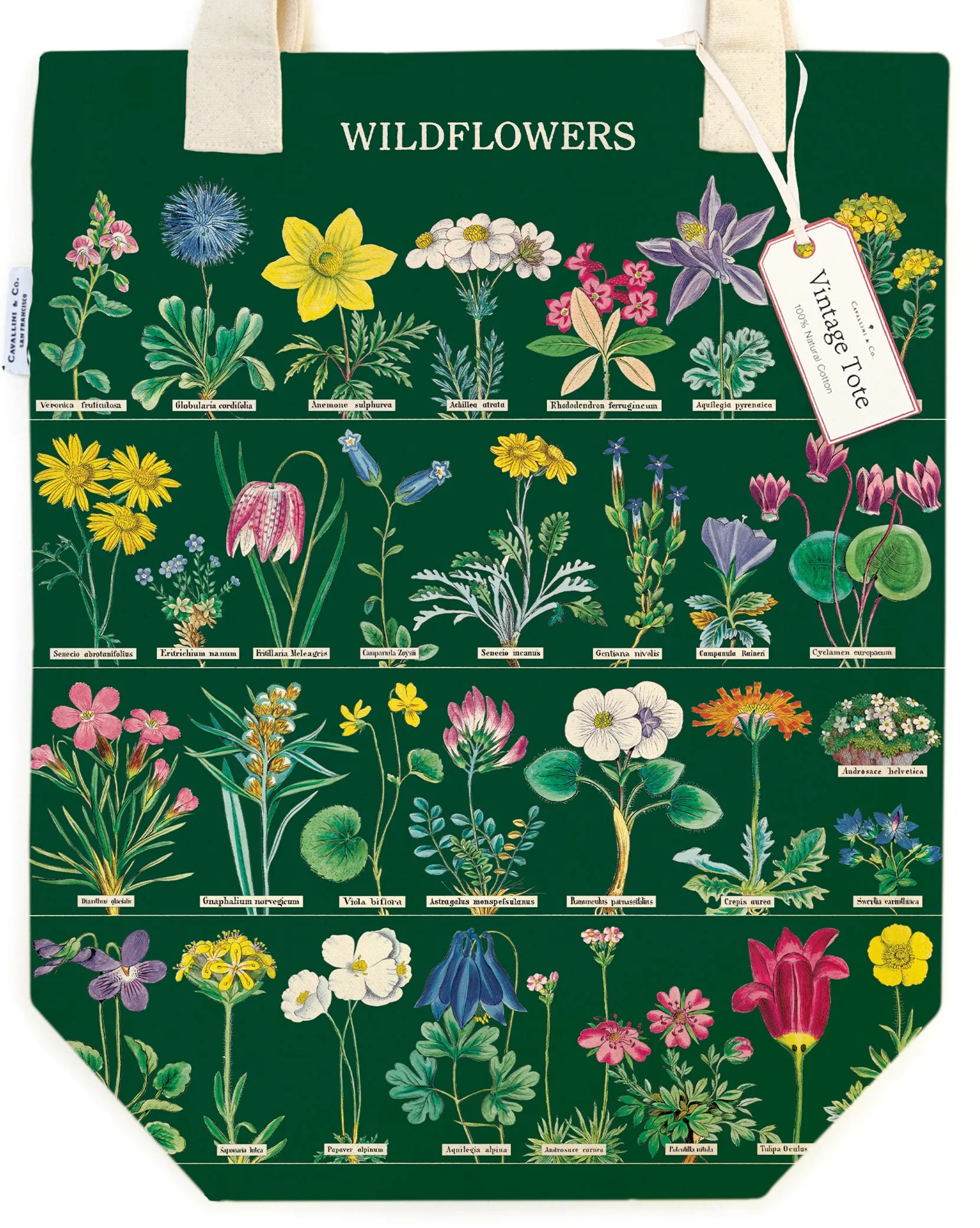 Cavallini & Co. Wildflowers in Bloom Cotton Tote Bag