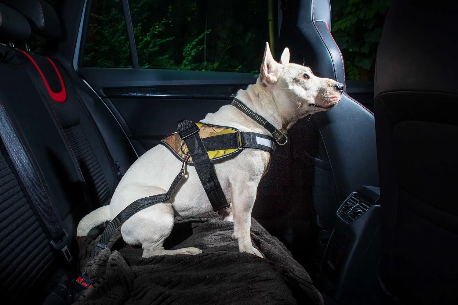 Color & Gray Seat Belt Adapter for Dogs, Size: 2, Black-Gray