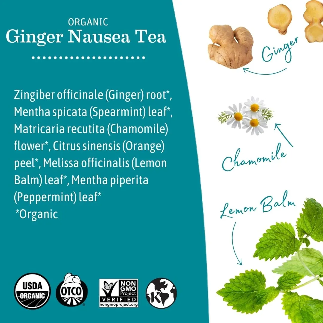 Earth Mama Organic Ginger Nausea™ Tea | Comforts Occasional Nausea   Morning Sickness, 16 Teabags Per Box (3-Pack)