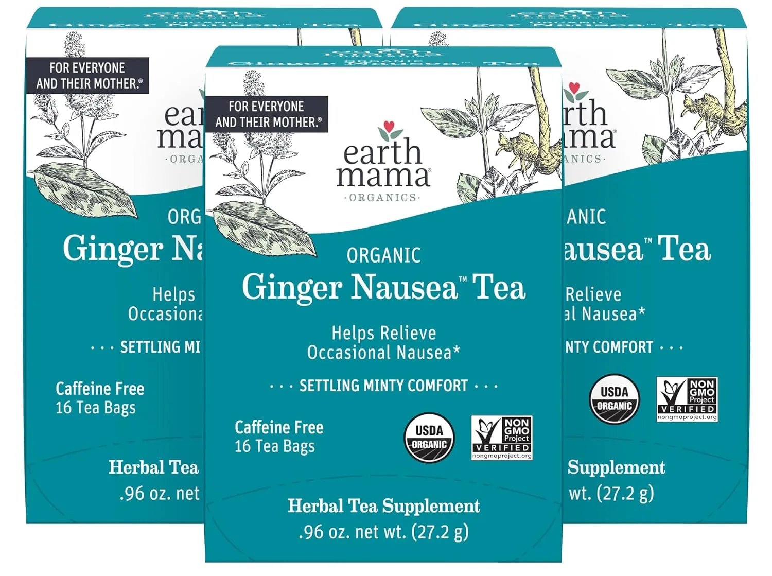 Earth Mama Organic Ginger Nausea™ Tea | Comforts Occasional Nausea   Morning Sickness, 16 Teabags Per Box (3-Pack)