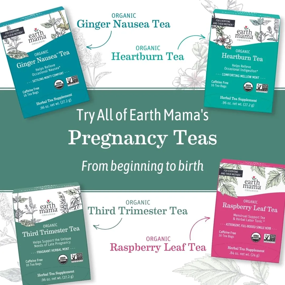 Earth Mama Organic Ginger Nausea™ Tea | Comforts Occasional Nausea   Morning Sickness, 16 Teabags Per Box (3-Pack)