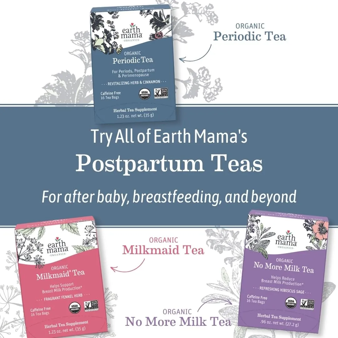Earth Mama Organic Ginger Nausea™ Tea | Comforts Occasional Nausea   Morning Sickness, 16 Teabags Per Box (3-Pack)