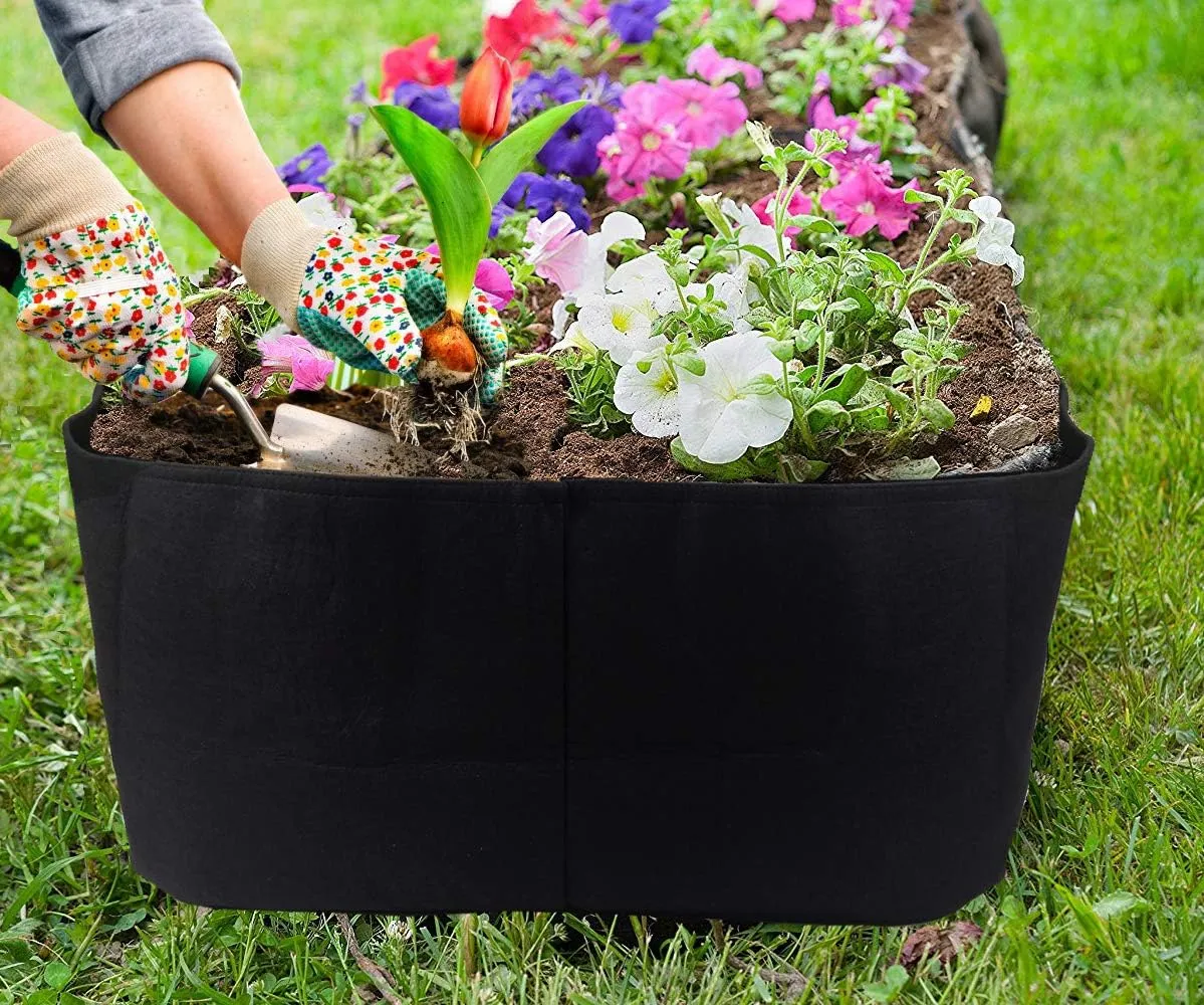 Fabric Raised Garden Bed, 2ft x 4ft Garden Grow Bags Planting Bed Rectangle Garden Containers for Vegetables Plants Flowers Outdoor