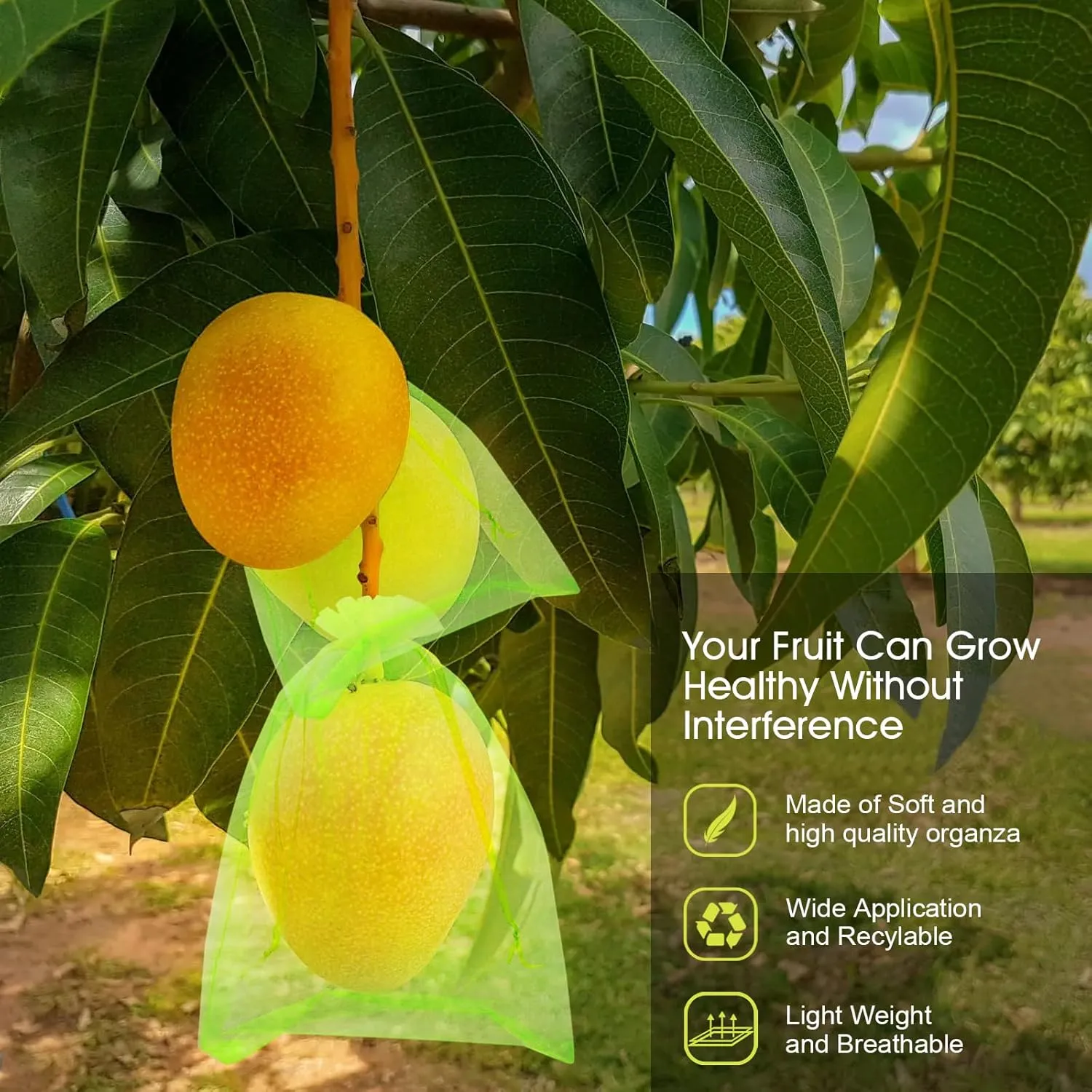 Fruit Protection Bags, RIFNY 100 Pcs 6 x 8 Inch Green Mesh Fruit Netting Bag for Fruit Trees, Fruit Cover Net Bags with Drawstring for Grape Apple Mango Peach Protect from Insect Birds Squirrels