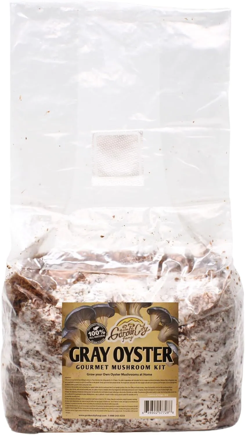 Gray Oyster Mushroom Kit - Grow Bag for Gourmet Mushrooms - Grow Premium Oyster Mushrooms at Home - Delicious & 100% Natural