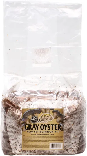 Gray Oyster Mushroom Kit - Grow Bag for Gourmet Mushrooms - Grow Premium Oyster Mushrooms at Home - Delicious & 100% Natural