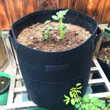 Heavy Duty Potato Grow Bags - 38L (10 Gallon)