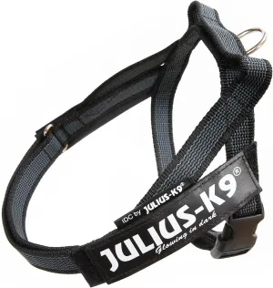 Julius-K9, 16IDC-MM-2015, IDC Color & Gray Belt Harness for Dogs, Size: Mini-Mini, Black-Gray
