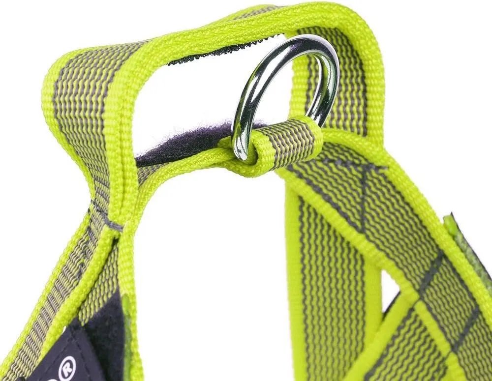 Julius-K9, IDC Color & Gray Belt Harness, Size: S/Mini, Neon-Gray