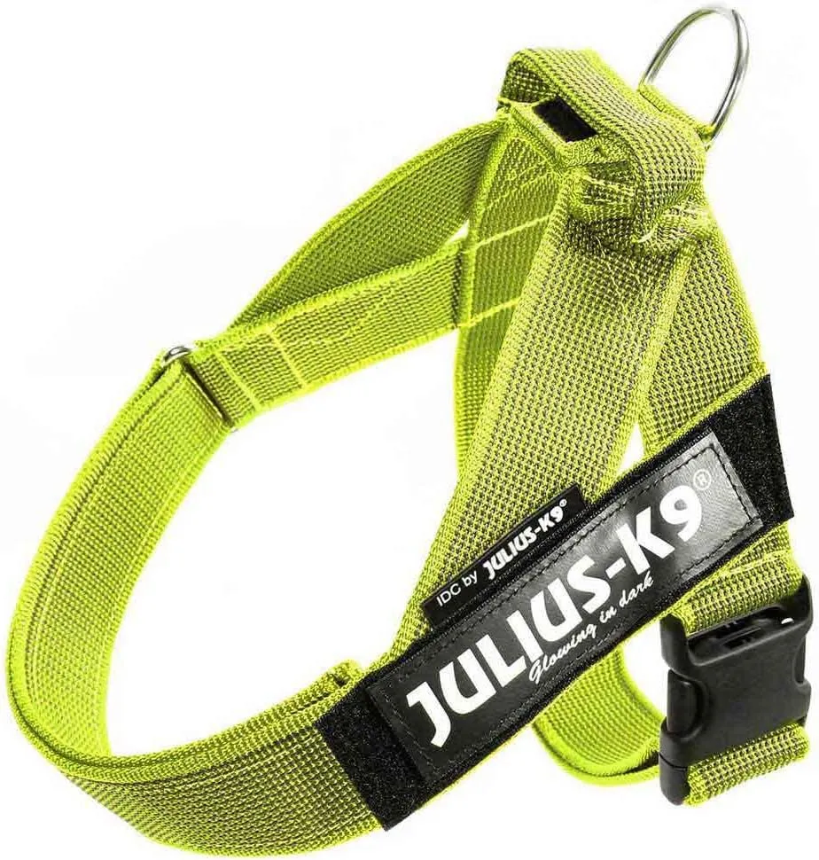 Julius-K9, IDC Color & Gray Belt Harness, Size: S/Mini, Neon-Gray