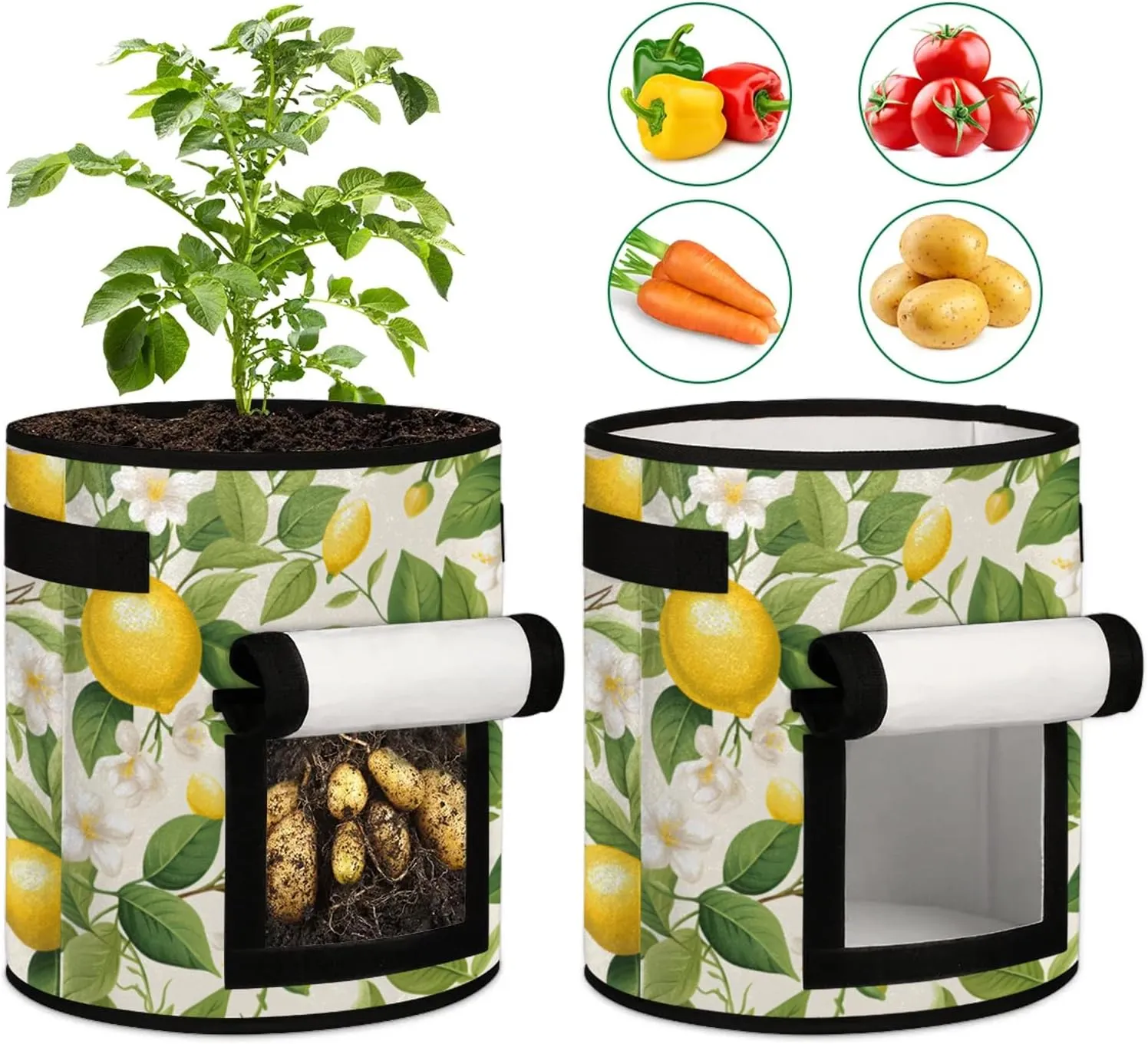 Lemons Plants Grow Bags 7 Gallon Thickened Nonwoven Plant Pot Flowers Vegetable Fruit Plant Grow Bag with Handle Garden Plant Bag Outdoor 2 Pack