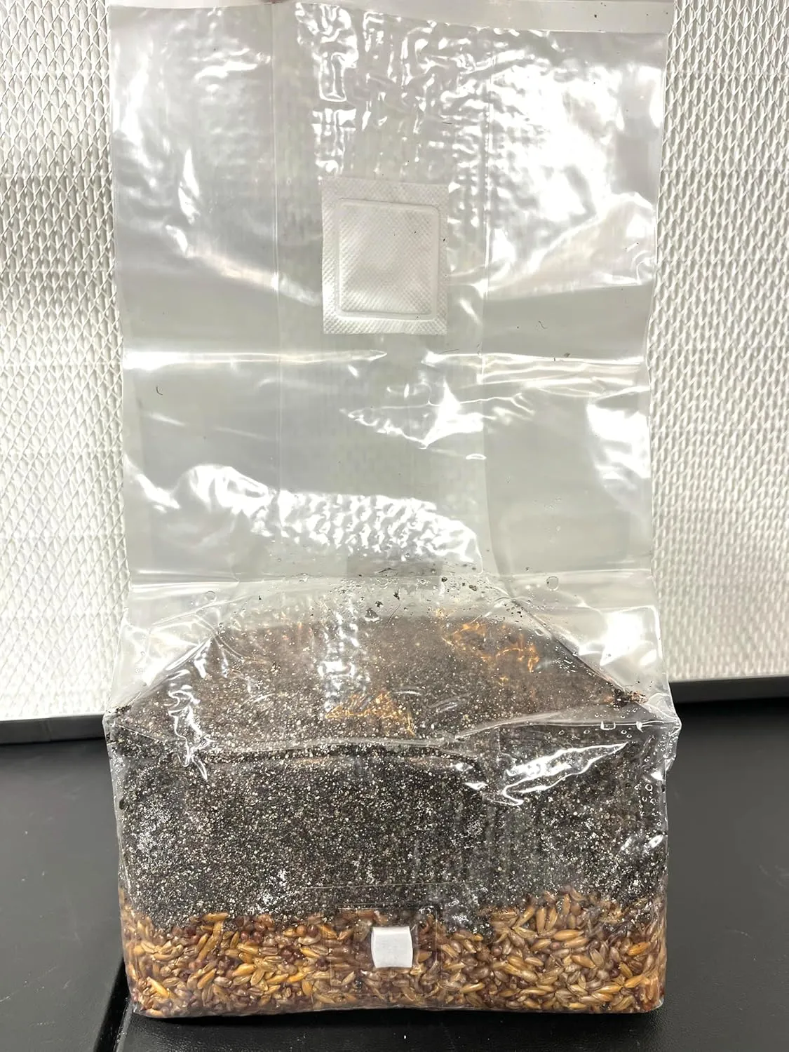 Manure Loving Magical 5 lb Mushroom All in One Grow Bag with Injection Port and Breathable Filter