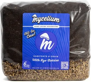Mycelium Mushroom Growing Kit I CVG Substrate (Coco Coir, Vermiculite, Gypsum) with Rye Berries Grain I High Yield Proprietary Mix I Sterilized Mushroom Grow Bag for Starter & Pro Home Growers, 6lbs