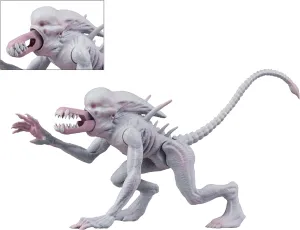 NECA Alien Classics - 5.5” Action Figures - Neomorph