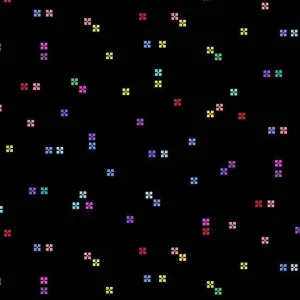 Rainbow Wonderland Blossom in Black
