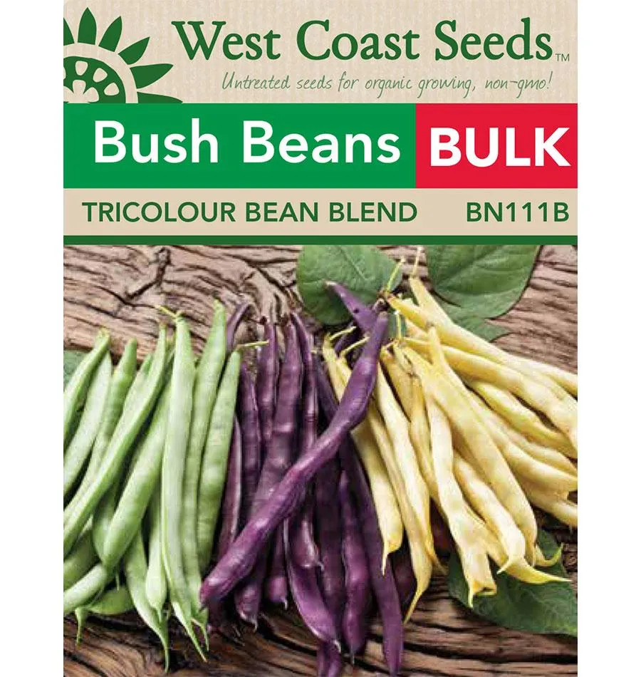 Tricolour Bean Blend