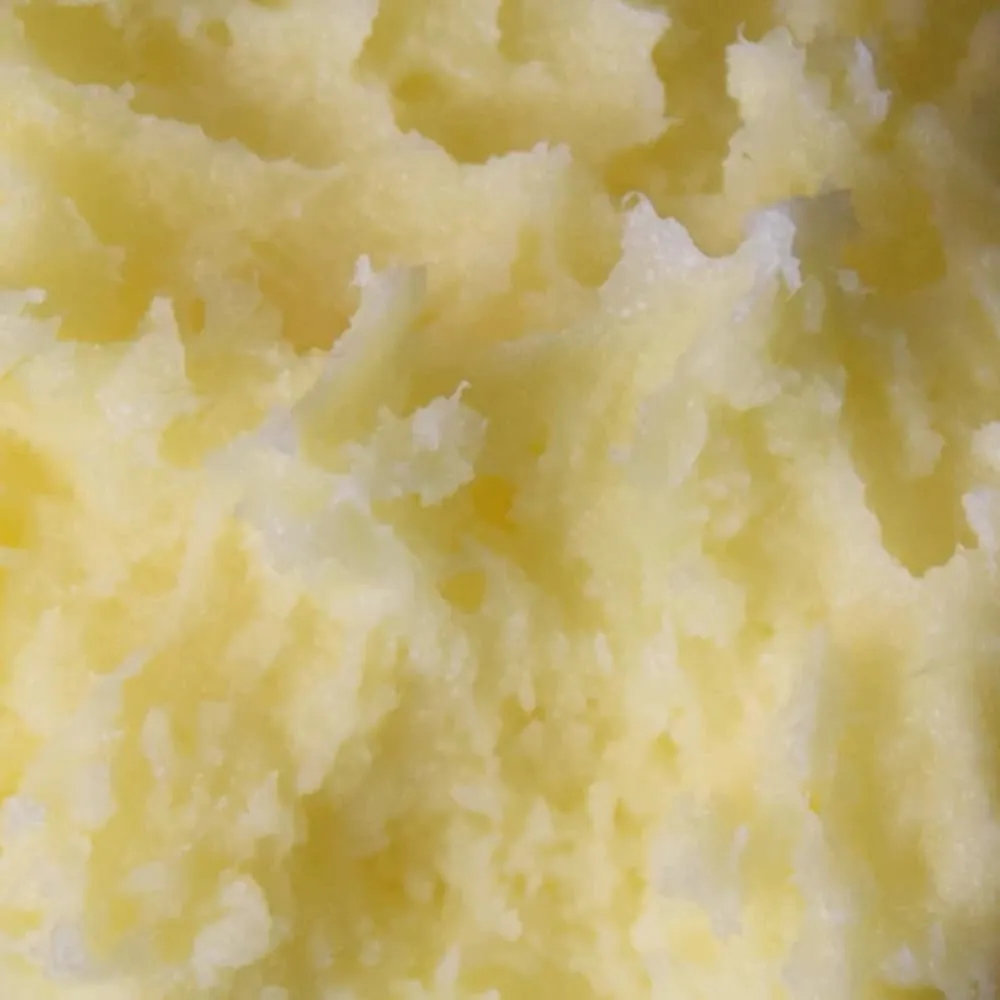 Virgin East African Nilotica Shea Butter Plus Kokum Butter Creamy, Luxurious, Extra Emolient 10lb HDPE Bucket