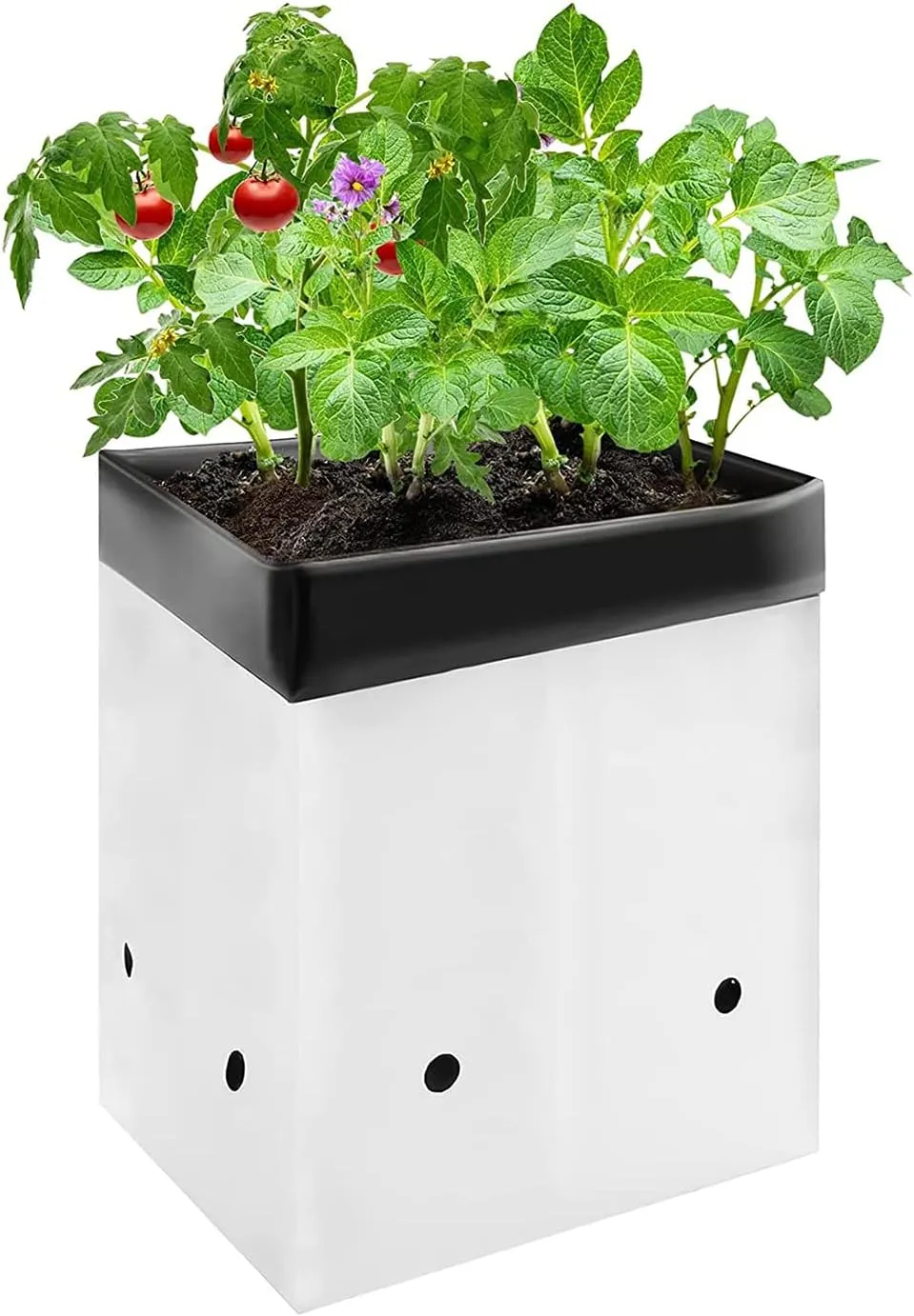 VIVOSUN 50-Pack 2 Gallon Grow Bags for Plants, Black-and-White Panda Film Containers Thick Plastic Bag for Potting Seedlings, and Rooting