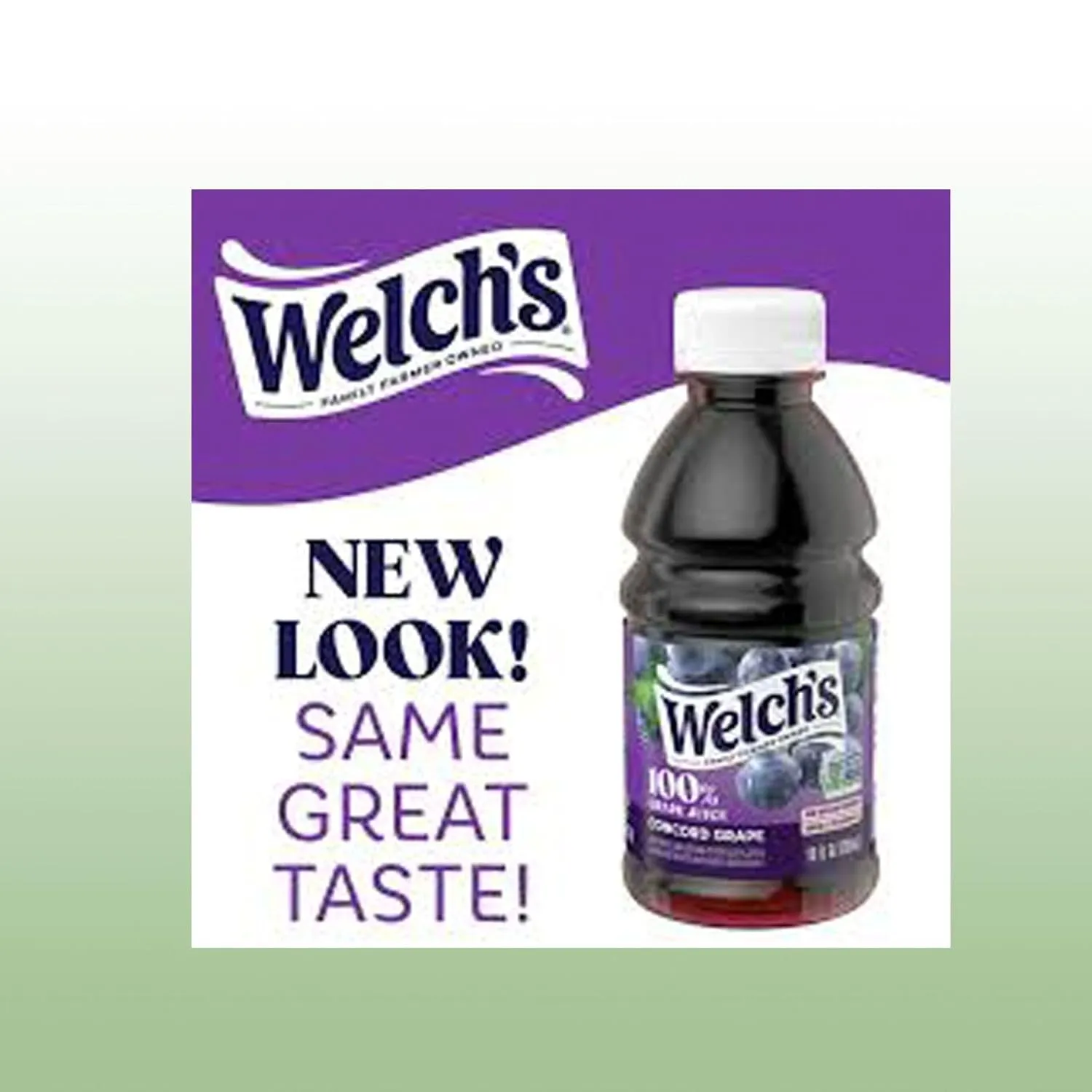 Welch’s 100% Concord Grape Juice Drink 10 fl oz Plastic Bottle 24 Pack   2 Reusable Snack Bags by KOOL8SHOP Infinite Deals