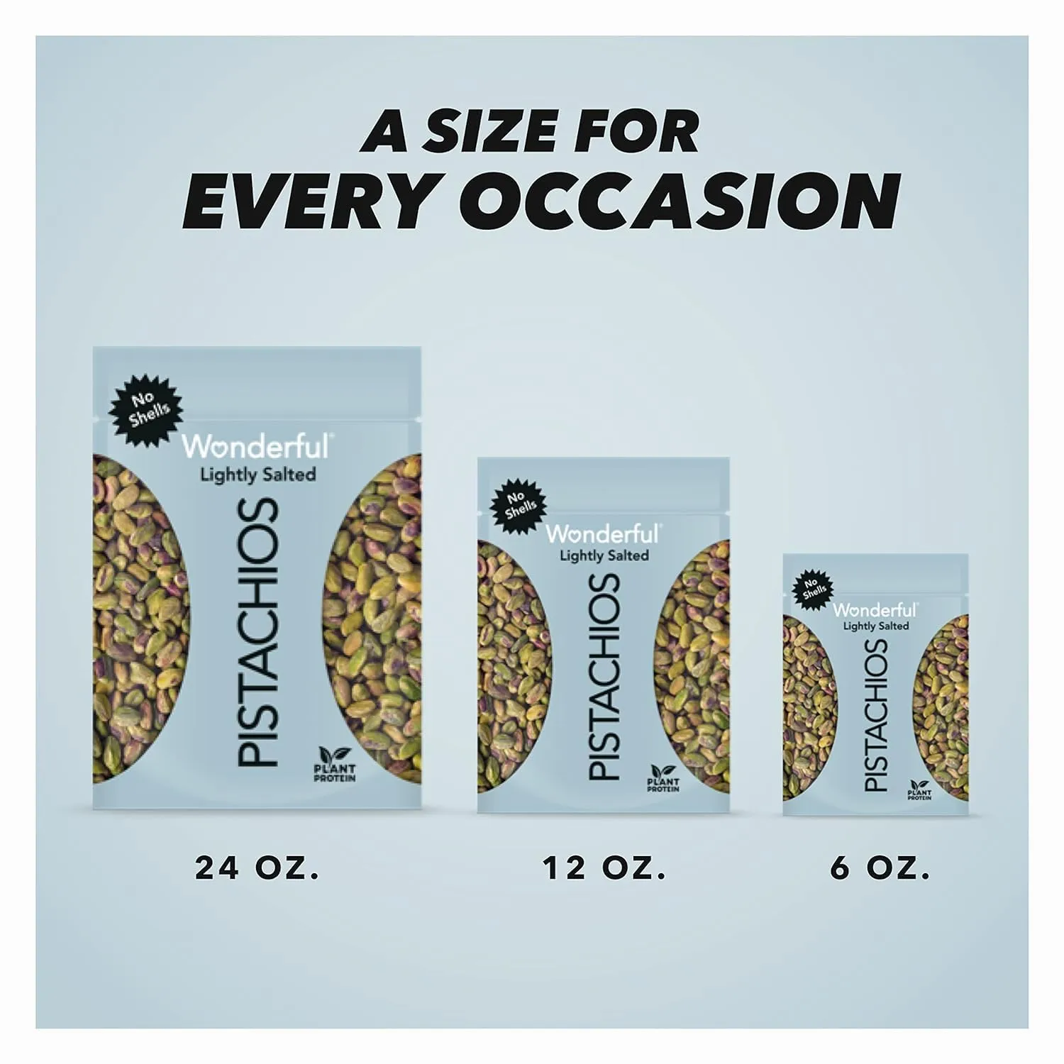 Wonderful Pistachios No Shells, Lightly Salted Nuts, 12 Ounce Resealable Bag, Protein Snacks, Gluten Free, Healthy Snack